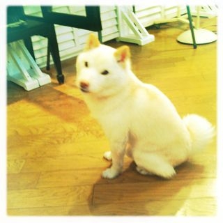 f:id:yoko807:20130213173122j:image f:id:yoko807:20130213173122j:image