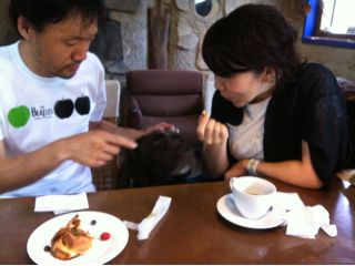 f:id:yoko807:20130725181023j:image f:id:yoko807:20130725181023j:image