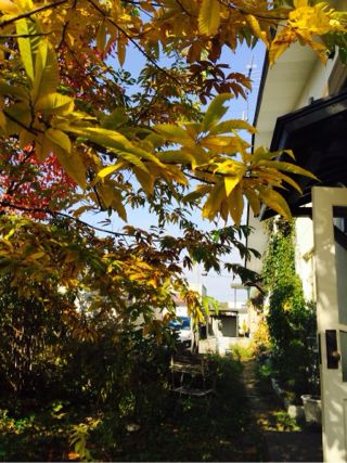 f:id:yoko807:20131029215353j:image f:id:yoko807:20131029215353j:image