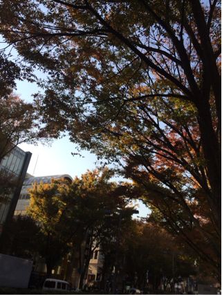 f:id:yoko807:20131122173645j:image