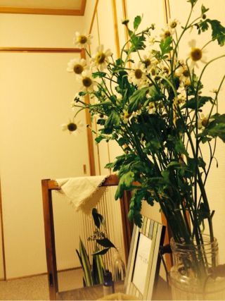 f:id:yoko807:20140204232618j:image f:id:yoko807:20140204232618j:image