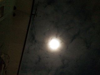 f:id:yoko807:20140215235026j:image f:id:yoko807:20140215235026j:image