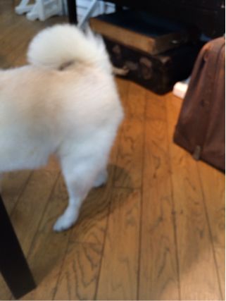 f:id:yoko807:20140220232552j:image