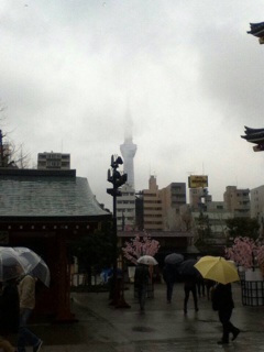 f:id:yoko807:20140320230107j:plain f:id:yoko807:20140320230107j:plain
