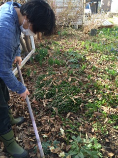f:id:yoko807:20140502233505j:plain f:id:yoko807:20140502233505j:plain