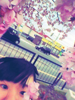 f:id:yoko807:20140505230958j:plain