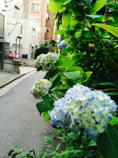 f:id:yoko807:20140528223415j:plain f:id:yoko807:20140528223415j:plain