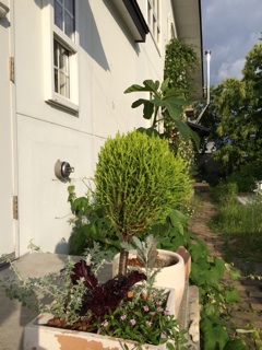 f:id:yoko807:20140627225021j:plain
