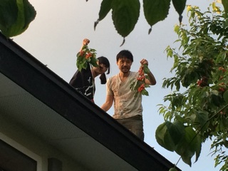 f:id:yoko807:20140706022555j:plain f:id:yoko807:20140706022555j:plain