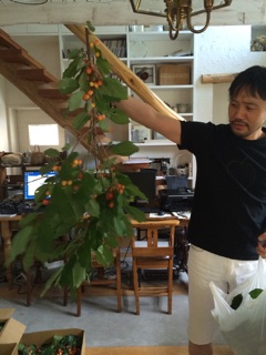 f:id:yoko807:20140707233131j:plain f:id:yoko807:20140707233131j:plain