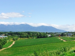 f:id:yoko807:20140720233712j:plain