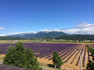 f:id:yoko807:20140720234331j:plain