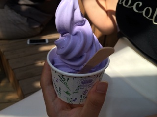 f:id:yoko807:20140720234423j:plain