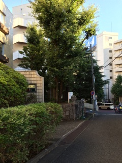 f:id:yoko807:20140819225114j:plain f:id:yoko807:20140819225114j:plain