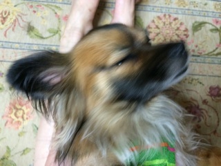 f:id:yoko807:20140828231345j:plain