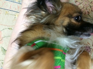 f:id:yoko807:20140828231457j:plain
