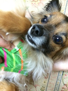 f:id:yoko807:20140828231530j:plain