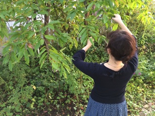 f:id:yoko807:20141009185543j:plain f:id:yoko807:20141009185543j:plain