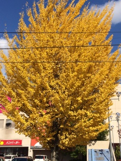 f:id:yoko807:20141018233719j:plain