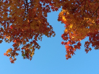f:id:yoko807:20141019214540j:plain f:id:yoko807:20141019214540j:plain