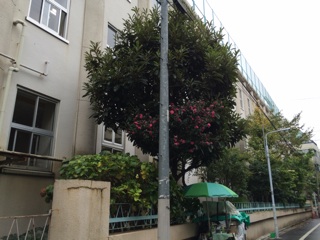 f:id:yoko807:20141112235512j:plain