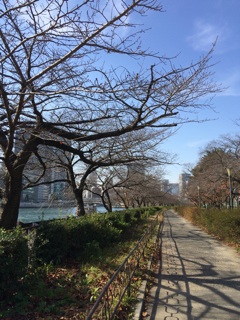 f:id:yoko807:20141214001147j:plain f:id:yoko807:20141214001147j:plain