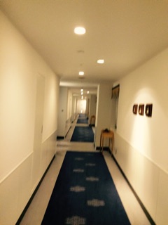 f:id:yoko807:20150117214600j:plain