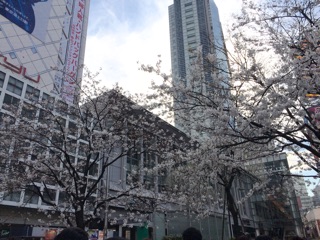 f:id:yoko807:20150328233357j:plain