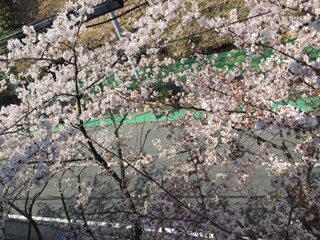 f:id:yoko807:20150331225359j:plain f:id:yoko807:20150331225359j:plain
