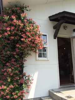 f:id:yoko807:20150620001333j:plain f:id:yoko807:20150620001333j:plain