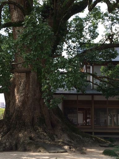 f:id:yoko807:20150920235157j:image