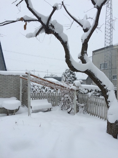 f:id:yoko807:20151124223836j:image