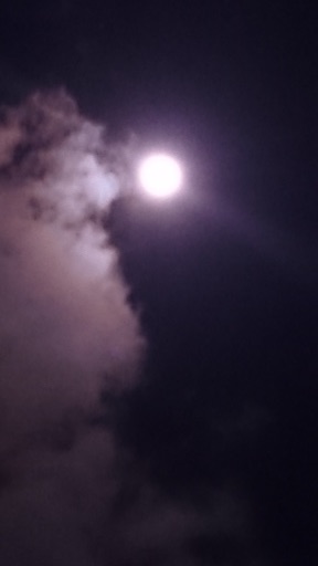 f:id:yoko807:20151128000844j:image