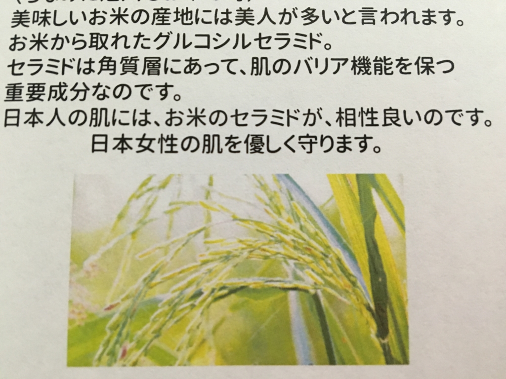 f:id:yoko807:20160820000200j:plain