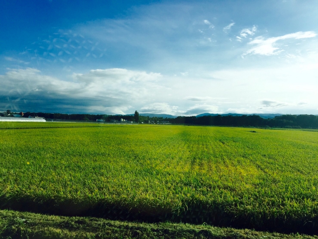 f:id:yoko807:20160828233424j:plain