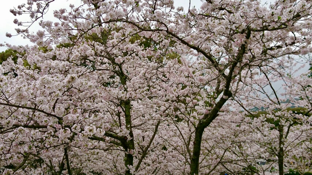 f:id:yoko807:20170411001445j:plain f:id:yoko807:20170411001445j:plain