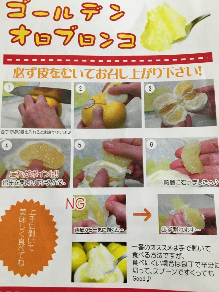 f:id:yoko807:20170415175157j:plain f:id:yoko807:20170415175157j:plain