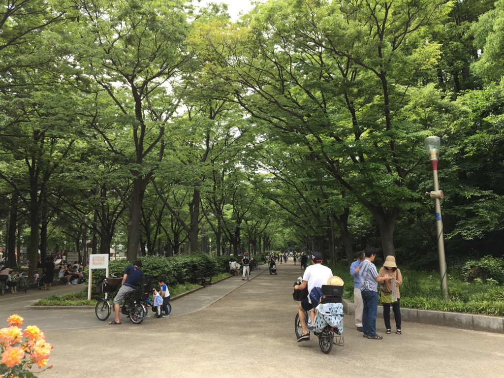 f:id:yoko807:20170521130253j:plain