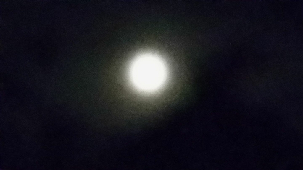 f:id:yoko807:20170611000640j:plain f:id:yoko807:20170611000640j:plain