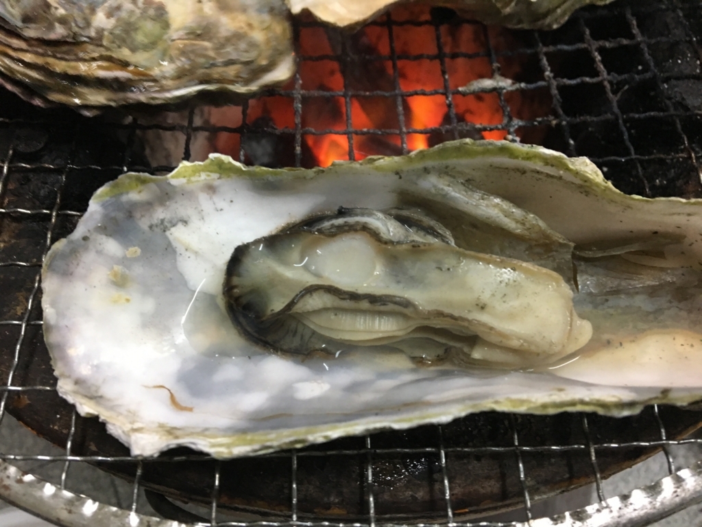f:id:yoko807:20171119204310j:plain